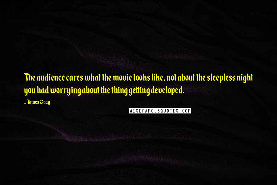 James Gray Quotes: The audience cares what the movie looks like, not about the sleepless night you had worrying about the thing getting developed.