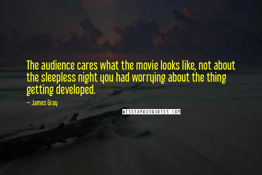 James Gray Quotes: The audience cares what the movie looks like, not about the sleepless night you had worrying about the thing getting developed.