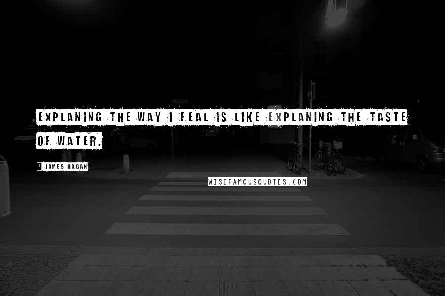James Hagan Quotes: explaning the way I feal is like explaning the taste of water.