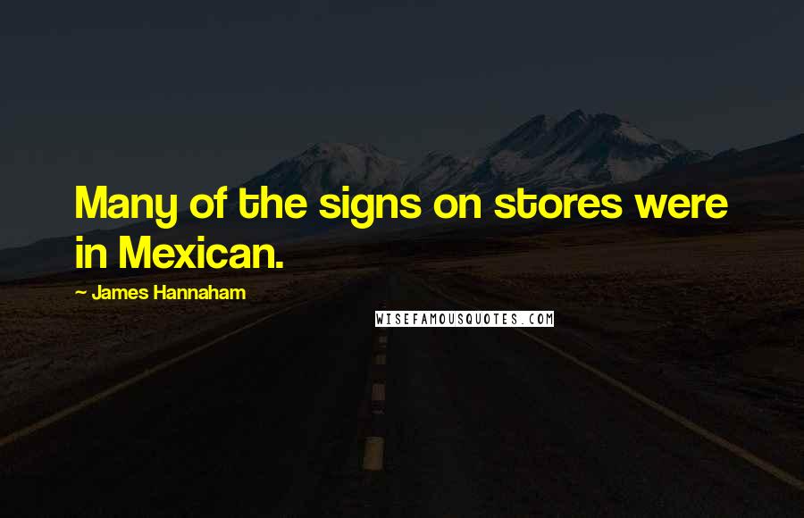 James Hannaham Quotes: Many of the signs on stores were in Mexican.