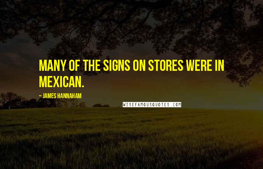 James Hannaham Quotes: Many of the signs on stores were in Mexican.