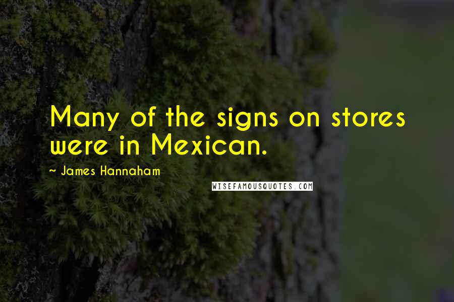 James Hannaham Quotes: Many of the signs on stores were in Mexican.