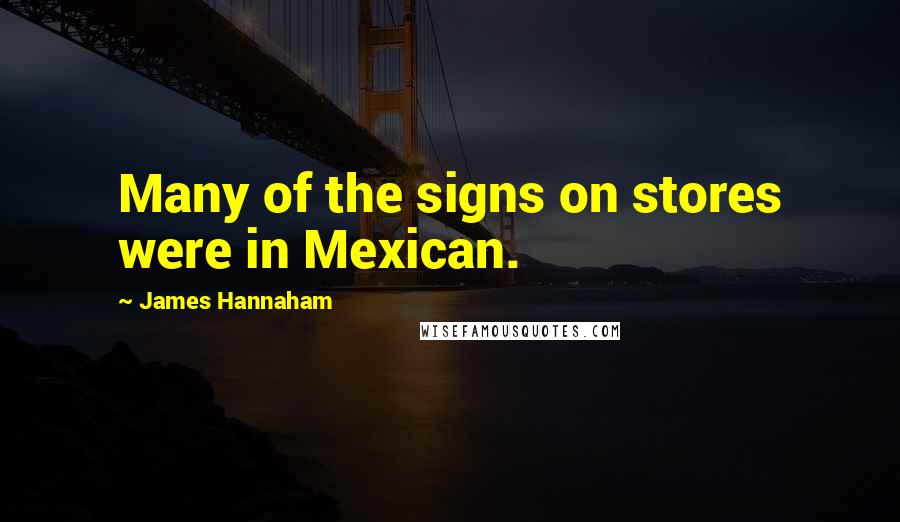 James Hannaham Quotes: Many of the signs on stores were in Mexican.