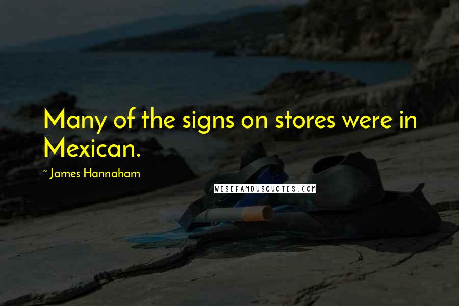 James Hannaham Quotes: Many of the signs on stores were in Mexican.