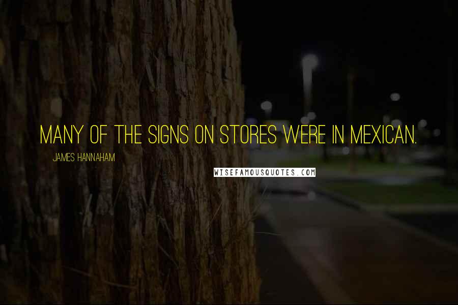 James Hannaham Quotes: Many of the signs on stores were in Mexican.