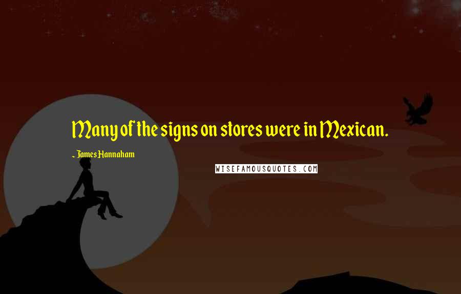 James Hannaham Quotes: Many of the signs on stores were in Mexican.