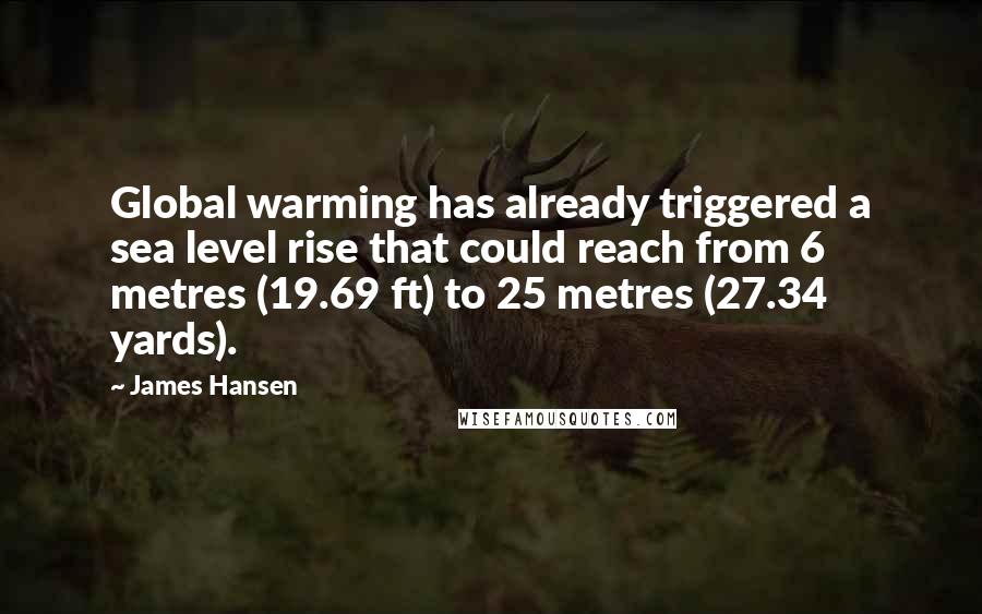 James Hansen Quotes: Global warming has already triggered a sea level rise that could reach from 6 metres (19.69 ft) to 25 metres (27.34 yards).