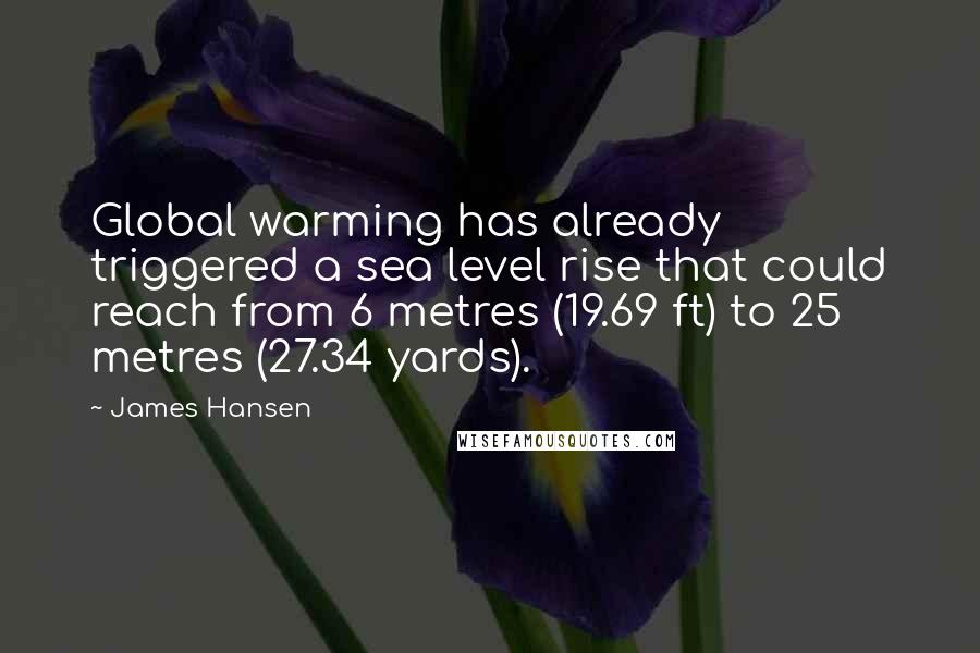James Hansen Quotes: Global warming has already triggered a sea level rise that could reach from 6 metres (19.69 ft) to 25 metres (27.34 yards).