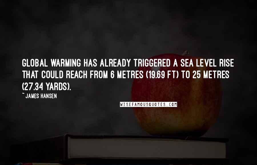 James Hansen Quotes: Global warming has already triggered a sea level rise that could reach from 6 metres (19.69 ft) to 25 metres (27.34 yards).