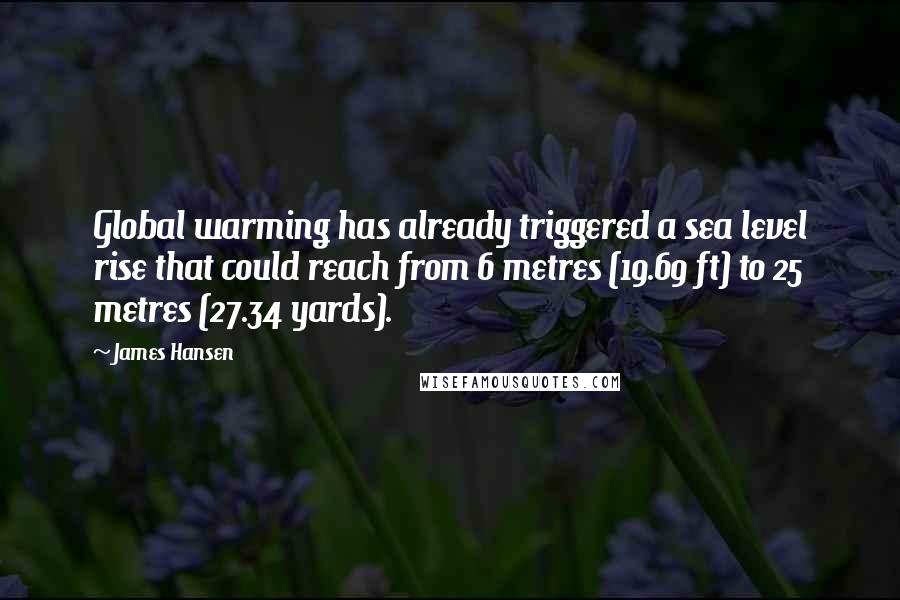 James Hansen Quotes: Global warming has already triggered a sea level rise that could reach from 6 metres (19.69 ft) to 25 metres (27.34 yards).