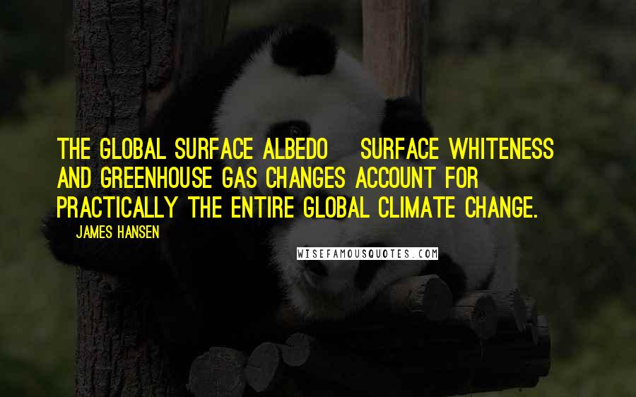 James Hansen Quotes: The global surface albedo [surface whiteness] and greenhouse gas changes account for practically the entire global climate change.