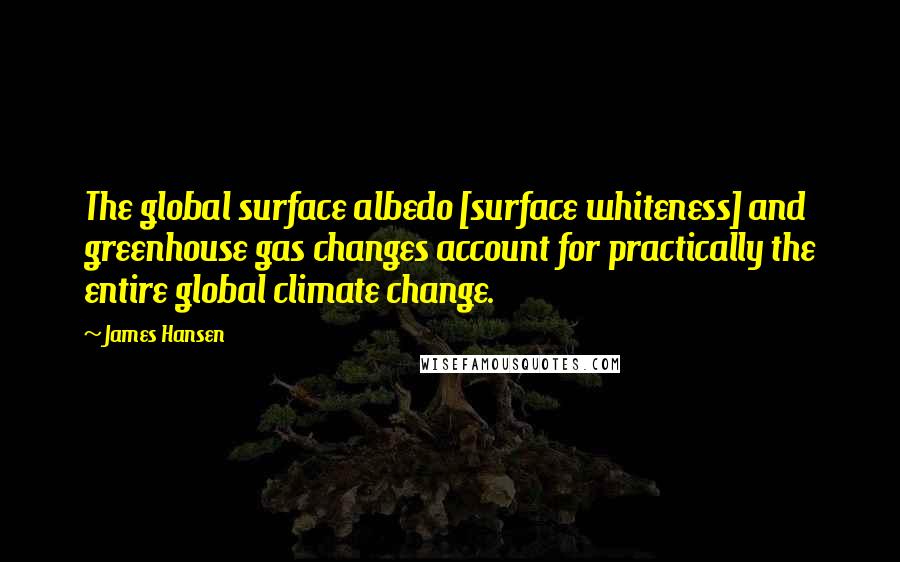 James Hansen Quotes: The global surface albedo [surface whiteness] and greenhouse gas changes account for practically the entire global climate change.