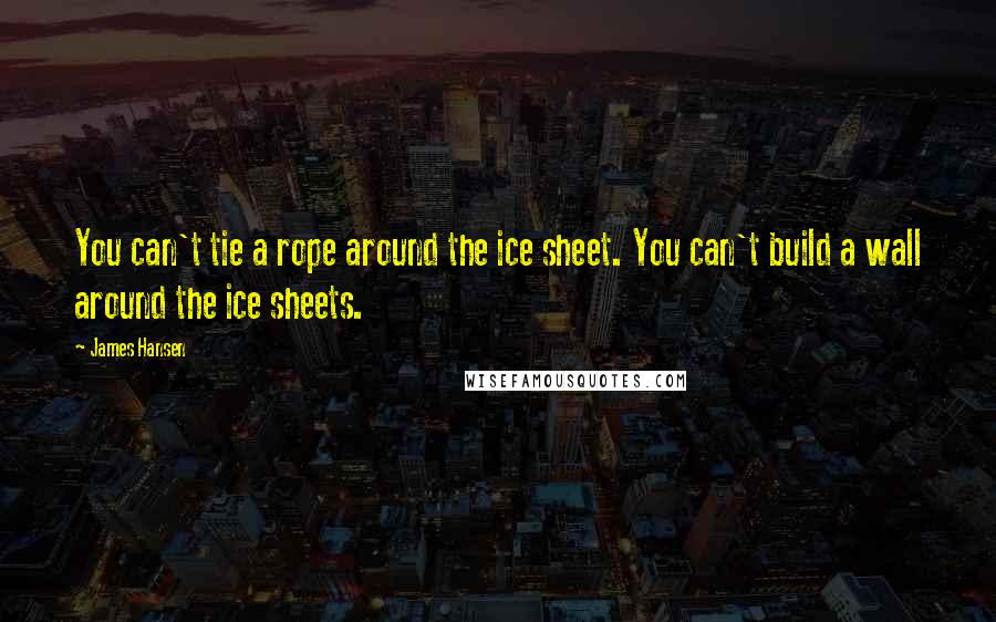 James Hansen Quotes: You can't tie a rope around the ice sheet. You can't build a wall around the ice sheets.