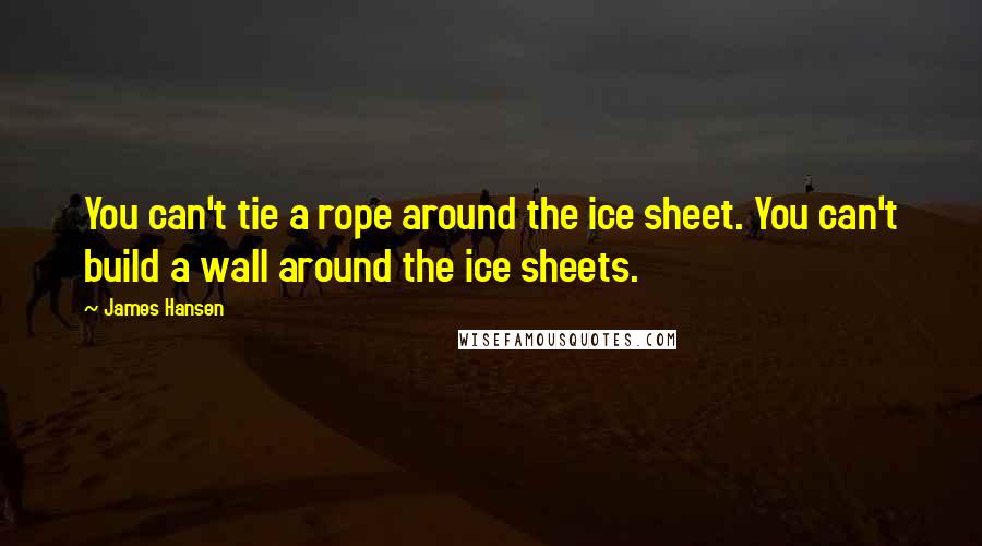 James Hansen Quotes: You can't tie a rope around the ice sheet. You can't build a wall around the ice sheets.