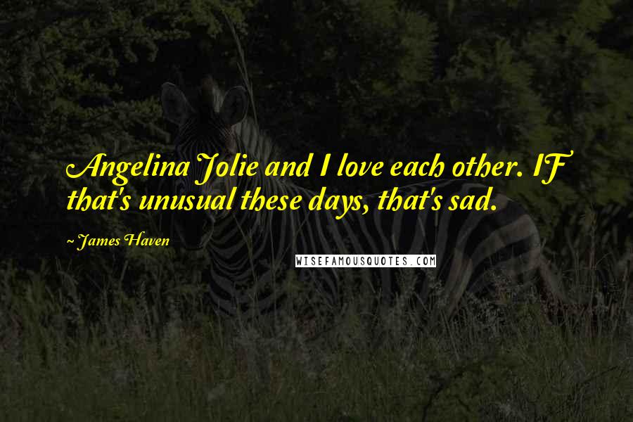 James Haven Quotes: Angelina Jolie and I love each other. IF that's unusual these days, that's sad.