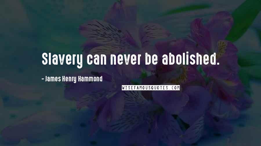 James Henry Hammond Quotes: Slavery can never be abolished.