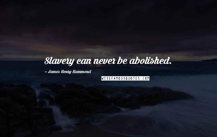 James Henry Hammond Quotes: Slavery can never be abolished.