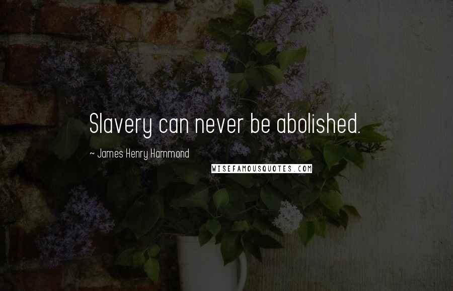 James Henry Hammond Quotes: Slavery can never be abolished.