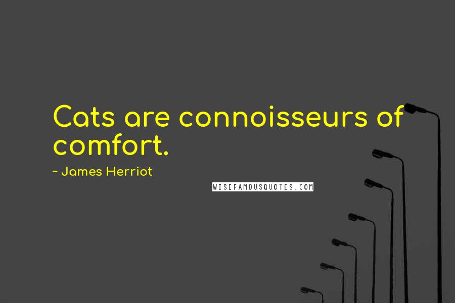 James Herriot Quotes: Cats are connoisseurs of comfort.