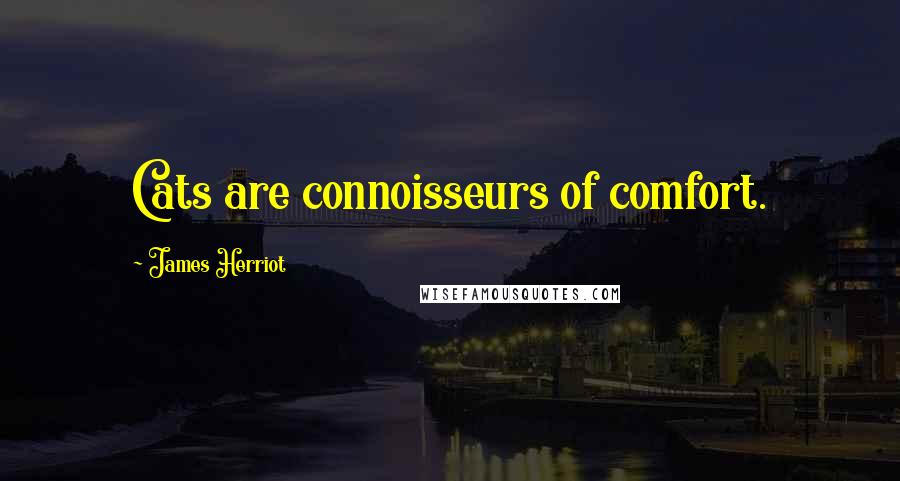 James Herriot Quotes: Cats are connoisseurs of comfort.