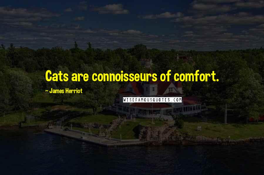 James Herriot Quotes: Cats are connoisseurs of comfort.