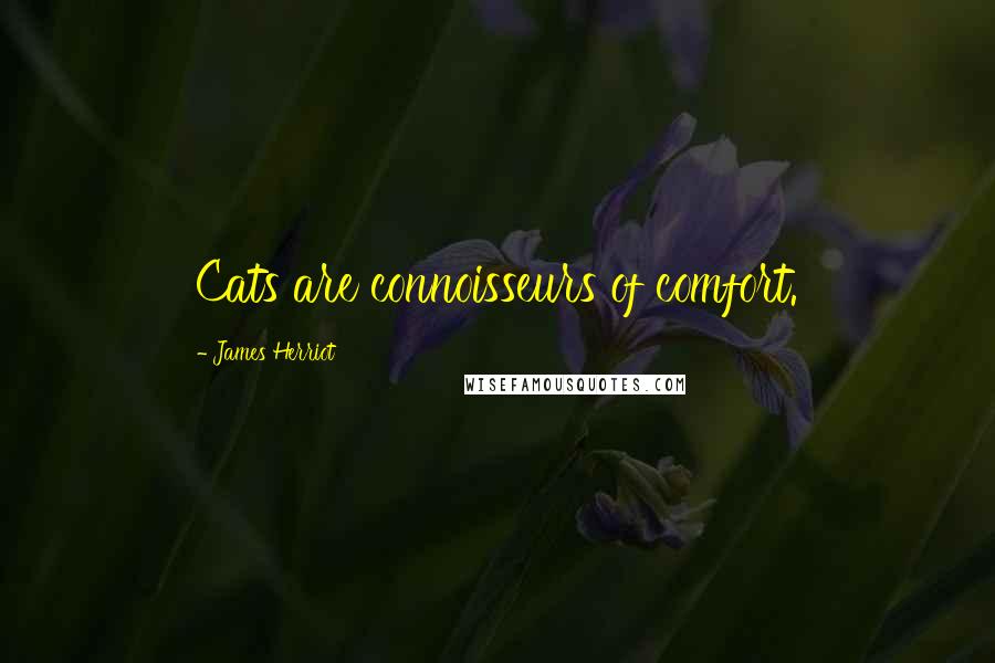 James Herriot Quotes: Cats are connoisseurs of comfort.