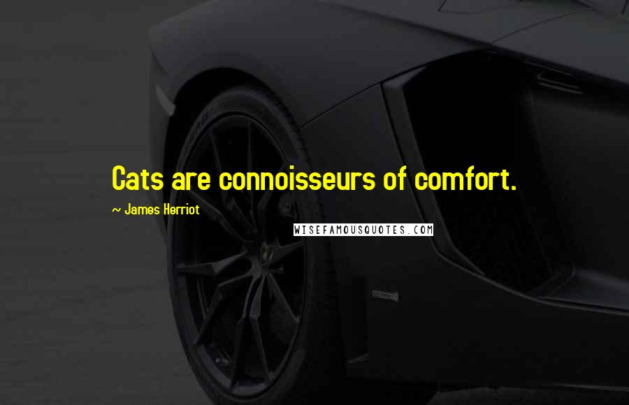 James Herriot Quotes: Cats are connoisseurs of comfort.