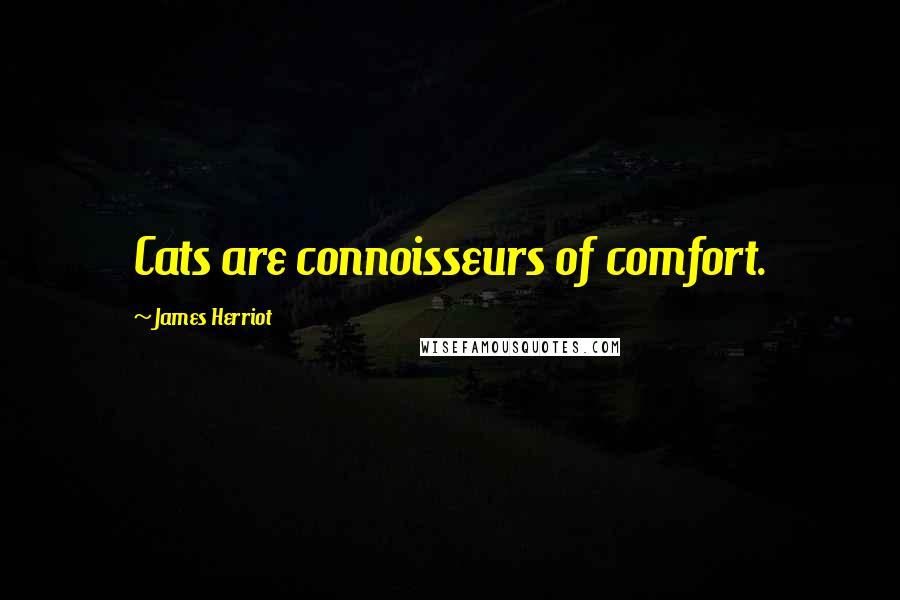 James Herriot Quotes: Cats are connoisseurs of comfort.