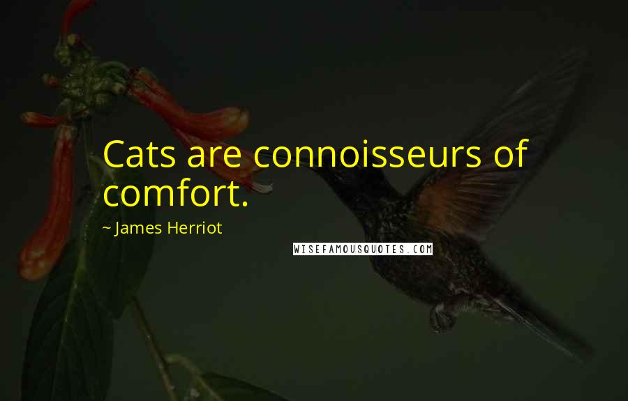 James Herriot Quotes: Cats are connoisseurs of comfort.