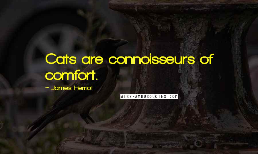 James Herriot Quotes: Cats are connoisseurs of comfort.