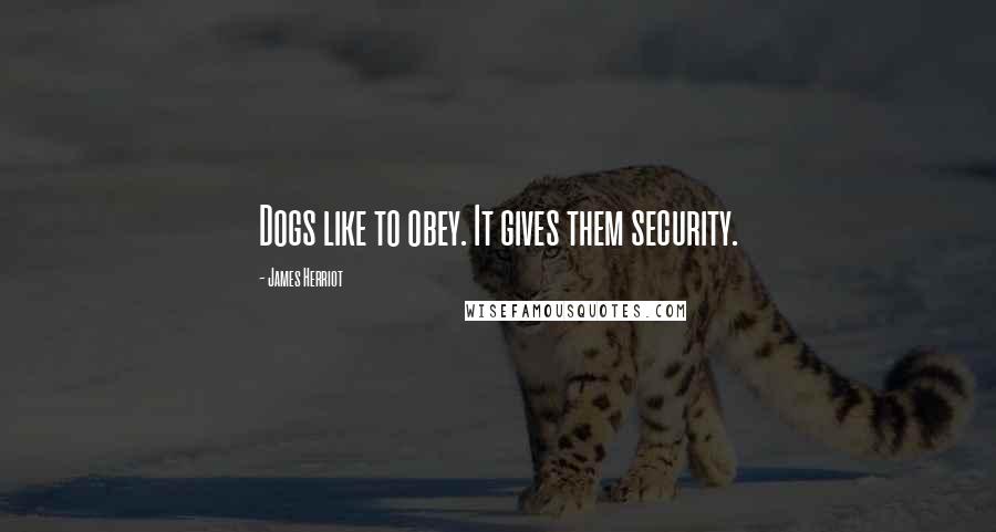 James Herriot Quotes: Dogs like to obey. It gives them security.