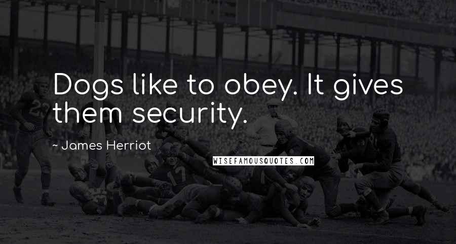 James Herriot Quotes: Dogs like to obey. It gives them security.