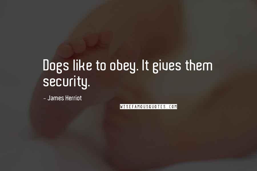 James Herriot Quotes: Dogs like to obey. It gives them security.