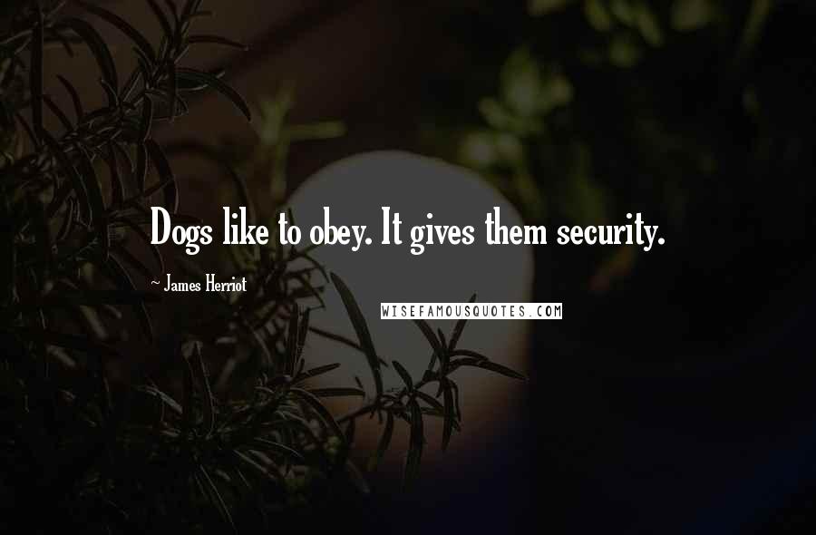 James Herriot Quotes: Dogs like to obey. It gives them security.