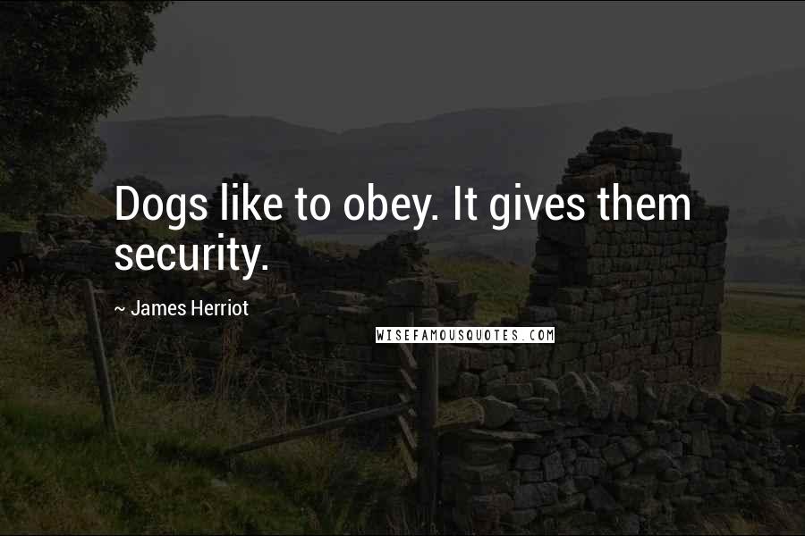 James Herriot Quotes: Dogs like to obey. It gives them security.