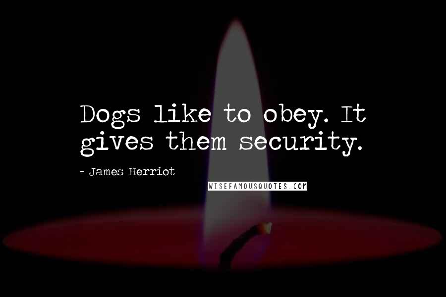 James Herriot Quotes: Dogs like to obey. It gives them security.