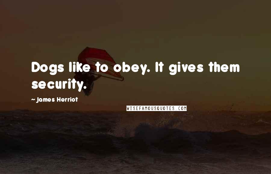 James Herriot Quotes: Dogs like to obey. It gives them security.