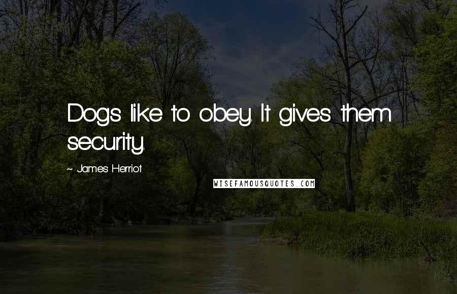 James Herriot Quotes: Dogs like to obey. It gives them security.