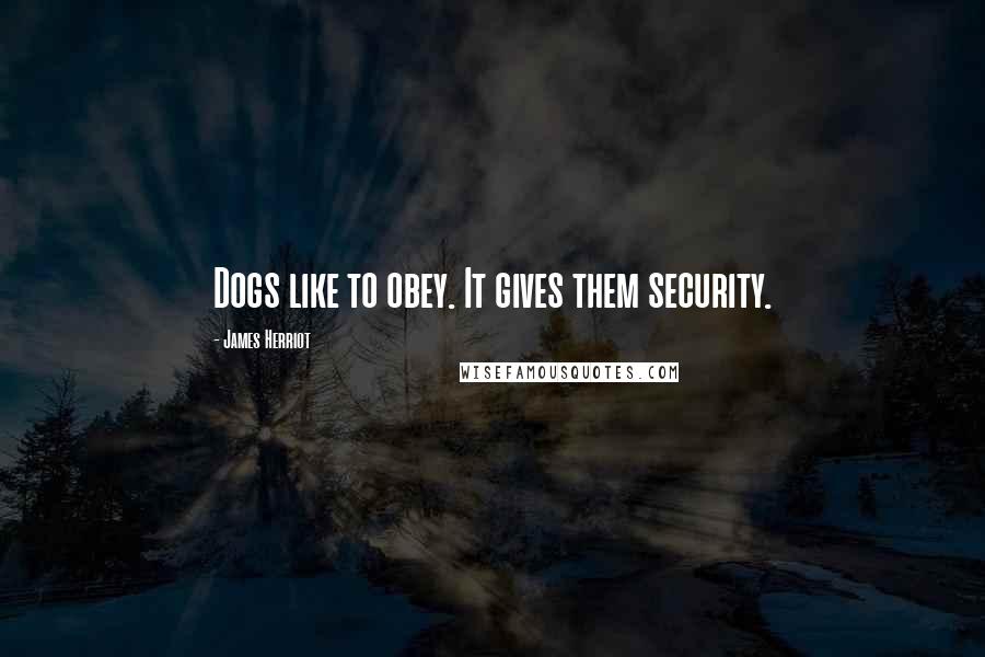 James Herriot Quotes: Dogs like to obey. It gives them security.