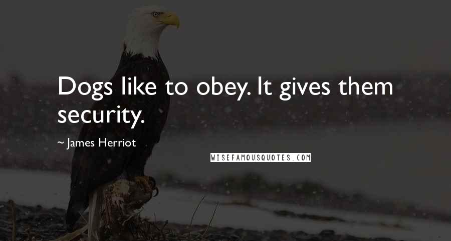 James Herriot Quotes: Dogs like to obey. It gives them security.