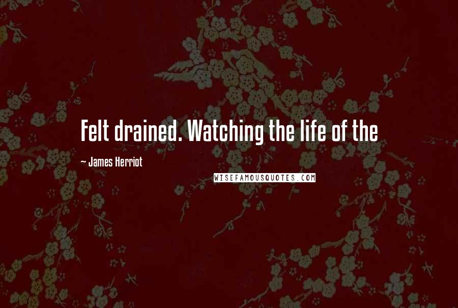 James Herriot Quotes: Felt drained. Watching the life of the