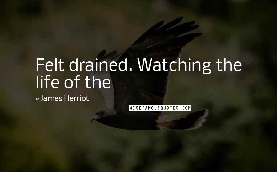 James Herriot Quotes: Felt drained. Watching the life of the