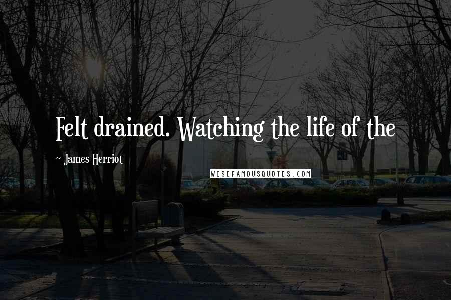 James Herriot Quotes: Felt drained. Watching the life of the