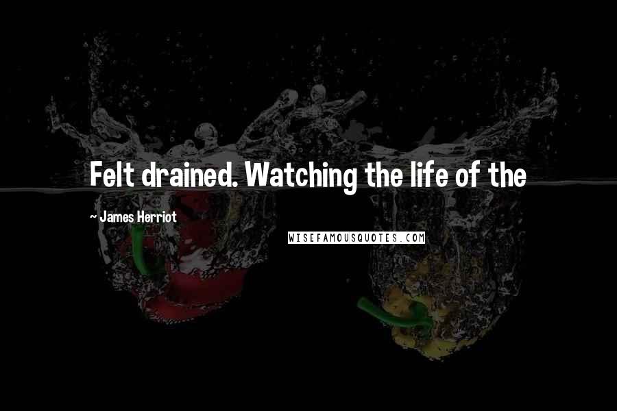 James Herriot Quotes: Felt drained. Watching the life of the