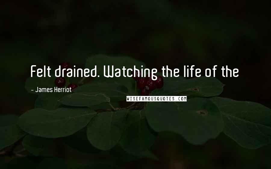 James Herriot Quotes: Felt drained. Watching the life of the