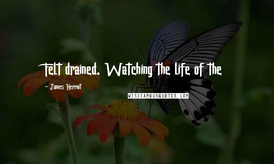 James Herriot Quotes: Felt drained. Watching the life of the