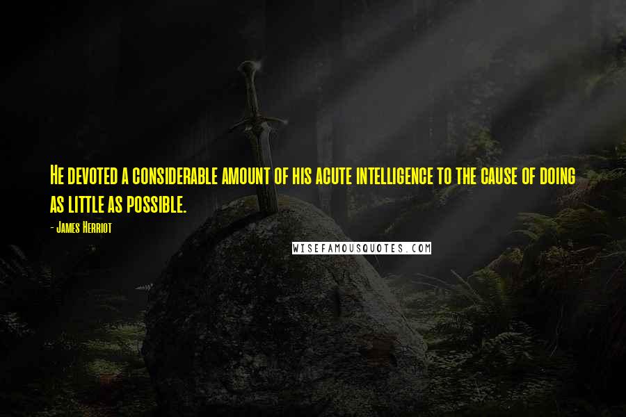 James Herriot Quotes: He devoted a considerable amount of his acute intelligence to the cause of doing as little as possible.