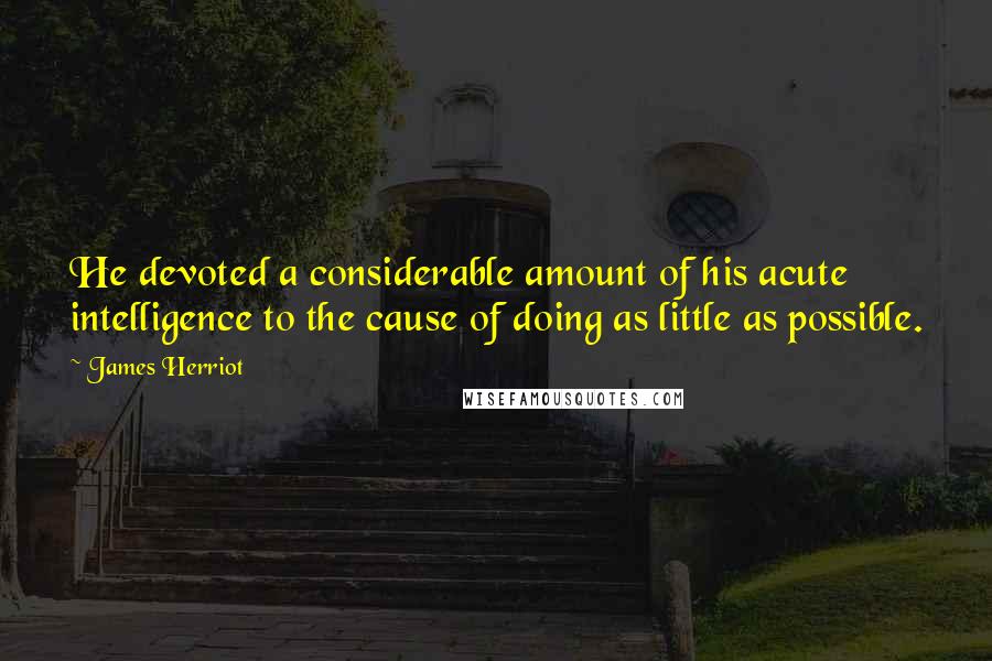 James Herriot Quotes: He devoted a considerable amount of his acute intelligence to the cause of doing as little as possible.