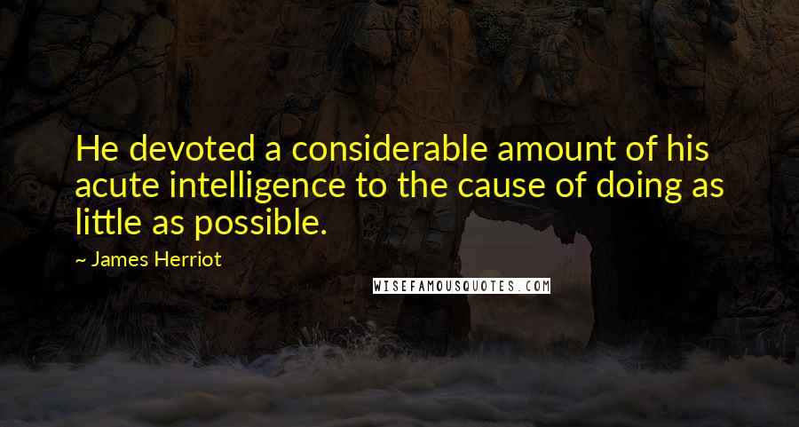 James Herriot Quotes: He devoted a considerable amount of his acute intelligence to the cause of doing as little as possible.