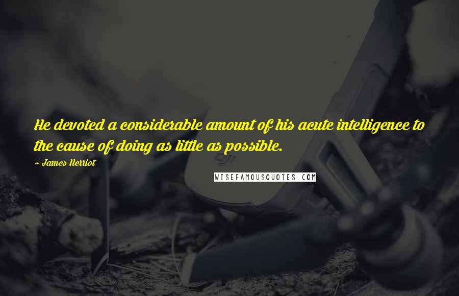 James Herriot Quotes: He devoted a considerable amount of his acute intelligence to the cause of doing as little as possible.